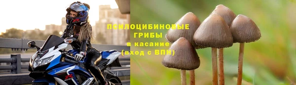 скорость mdpv Елизово