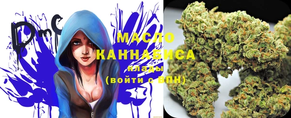 ешки Ельня