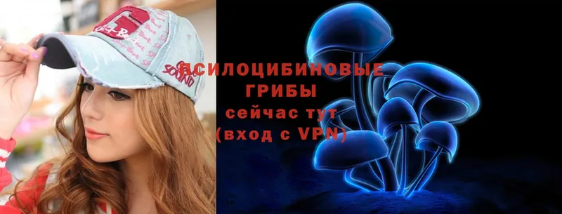 купить  сайты  Заозёрный  Галлюциногенные грибы мухоморы 